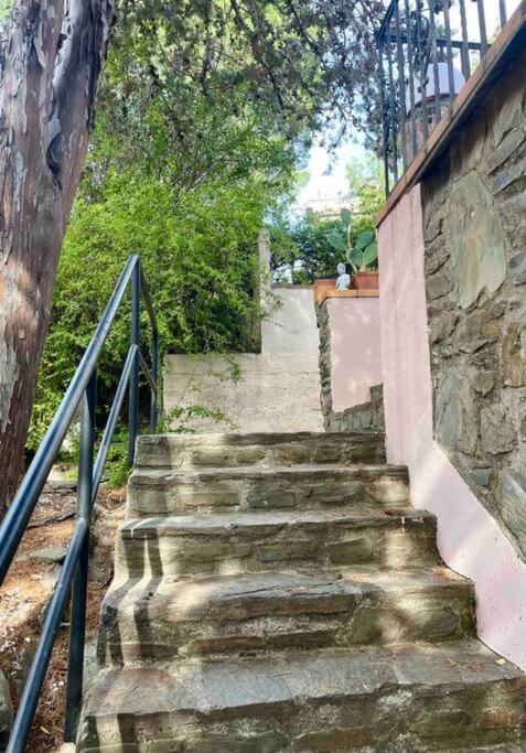 Charmante Maison En Plein Coeur De Collioure Villa Eksteriør bilde